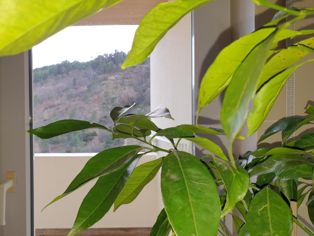 Altavista Penthouse T2 Apartment Covilha Ngoại thất bức ảnh